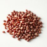 Red Onion