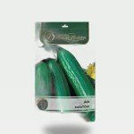 شتلة خيار Cucumis sativus