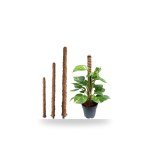 Plant Stake