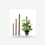 Plant Stake