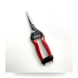 Pruning Shears