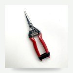 Pruning Shears