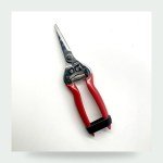 Pruning Shears
