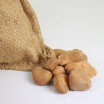 Brown Pebble