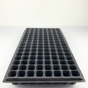 Seed Tray