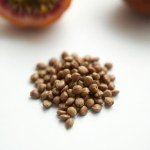 Yellow Passion Fruit Seeds
