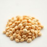 Butternut / Pumpkin Squash Seeds for Home Growing