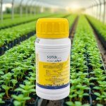 مبيد حشري 15% CS حجم 250 مل