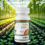 مبيد فطري جهازي 10% EC 100 مل