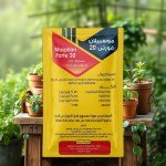 مبيد حشري مسحوق ذواب أسيتامبريد 20% (Mosipilan Forte) 50 جرام