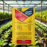 مبيد حشري مسحوق ذواب أسيتامبريد 20% (Mosipilan Forte) 50 جرام