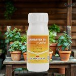 Lambacyhalothrin 5% Insecticide 100ml