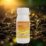Lambacyhalothrin 5% Insecticide 100ml