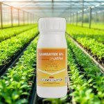 Lambacyhalothrin 5% Insecticide 100ml
