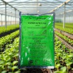 مبيد فطري Topsin M 70% WP (400 جرام)