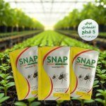مبيد ذباب سناب 1% طعم سكري - 5 قطع × 10 جرام