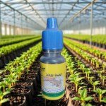 Max Killer Gel for Geckos & House Lizards