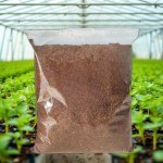 Peat Moss 10L German