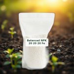Balanced NPK 20-20-20 Fertilizer