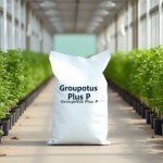 Groupotus Plus Potassium
