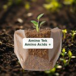 Amino Tek Amino Acids + Micronutrients (500ml)