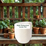 High Potassium Loran Fertilizer (500g)