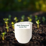 High Potassium Loran Fertilizer (500g)