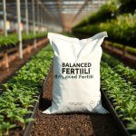 Balanced Fertilizer NPK Loran 500g