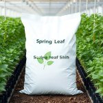 Leaf Shine Spray 600ml