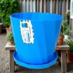 12cm Plastic Plant Pot with Saucer for Reyhan