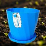 12cm Plastic Plant Pot with Saucer for Reyhan