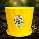 Reihan Pot 12cm