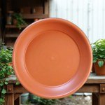 German Plate for 40cm Pots