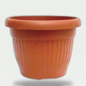 Cactus Cup 4cm