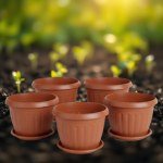 طقم 5 اصص زرع ألمانية مقاس 20 سم مع طبق