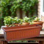 Rectangular Plant Tray 60x20 cm