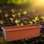Rectangular Plant Tray 60x20 cm