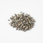 10 French Lavender Seeds