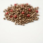 10 Cardinal Basil Seeds