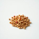 French Marigold Seeds