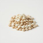 Black Morning Glory Seeds