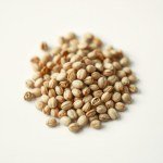 Moringa Seeds for Home