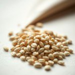 Sunflower Seeds F1 Imported 10 Grams