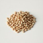 Amaranth Seeds for Home Gardening