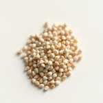 Gypsophila (Baby's Breath) Seeds