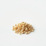 Carnation Seeds