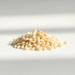 Gladiolus Seeds