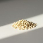 Silene Seeds