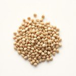 Stock Flower (Matthiola) Seeds