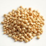 Snake Melon F1 Hybrid Seeds - MAGSEEDS